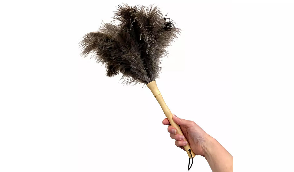 Home Valet Ostrich Feather Handheld Duster with Wooden Handle