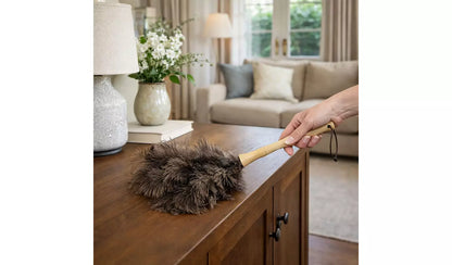 Home Valet Ostrich Feather Handheld Duster with Wooden Handle