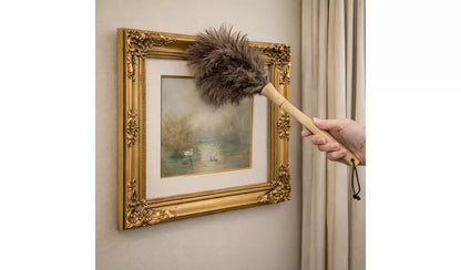 Home Valet Ostrich Feather Handheld Duster with Wooden Handle