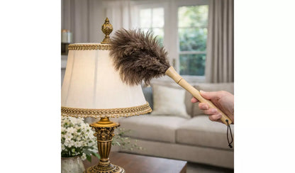 Home Valet Ostrich Feather Handheld Duster with Wooden Handle