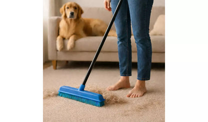 Home Valet Rubber Broom & Hand Brush Set
